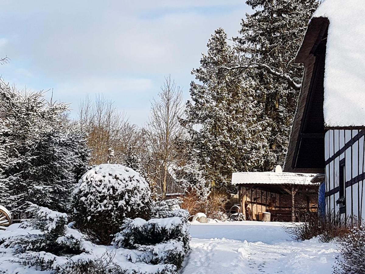 Zagroda U Macieja Ustka Bagian luar foto
